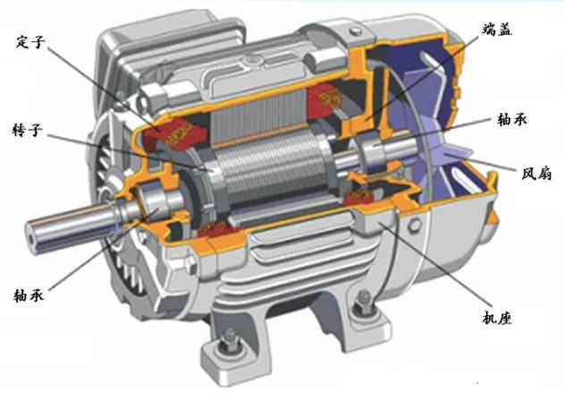 Transmission motor does not rotate